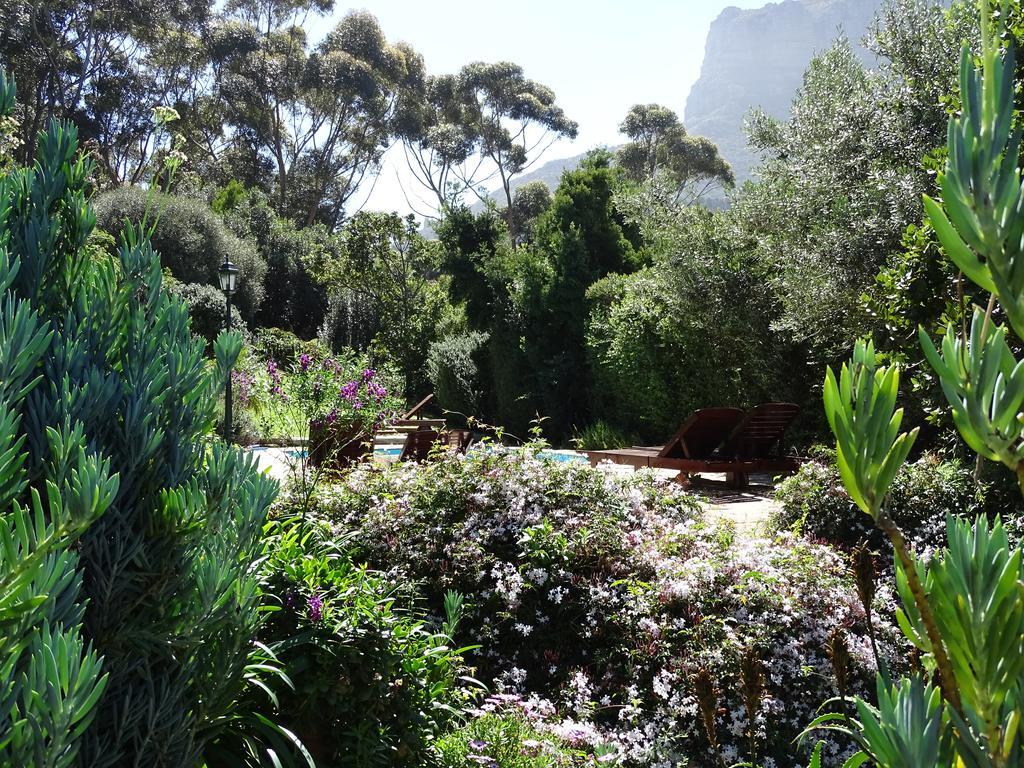 Intaba Lodge Hout Bay Exteriér fotografie