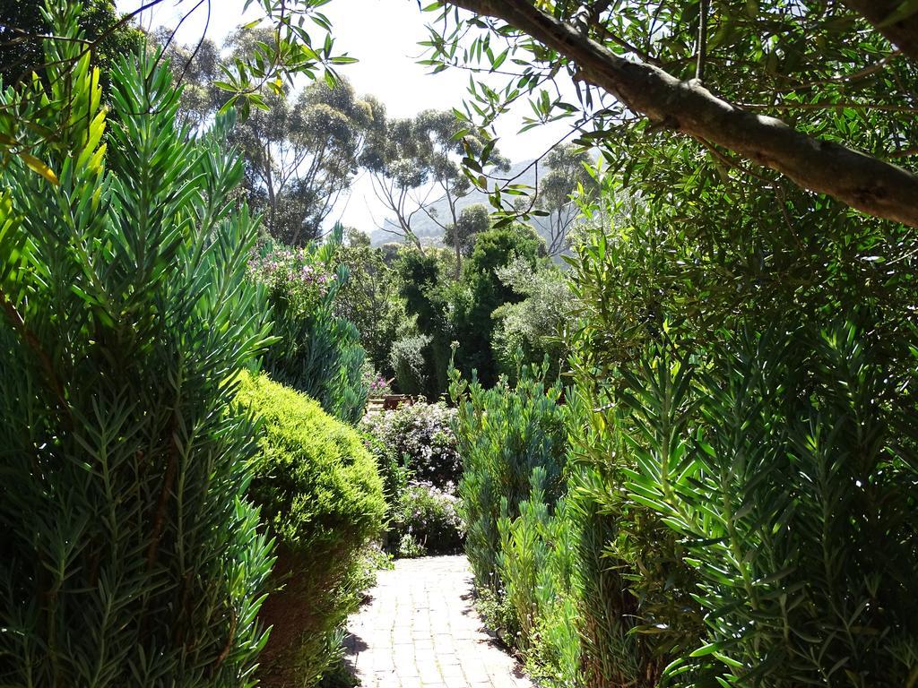 Intaba Lodge Hout Bay Exteriér fotografie