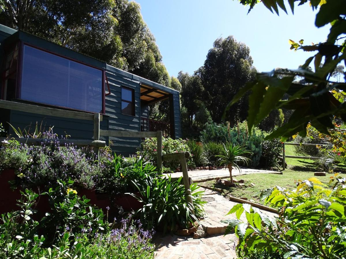 Intaba Lodge Hout Bay Pokoj fotografie