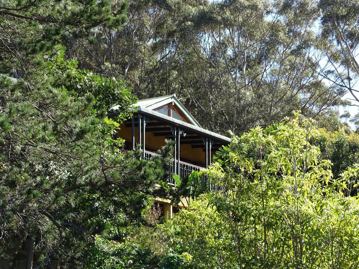 Intaba Lodge Hout Bay Exteriér fotografie